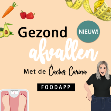 Cactus Carina Food-app